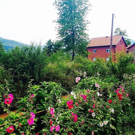 Peace Valley - Dolina Mira Janja Gora Buitenkant foto