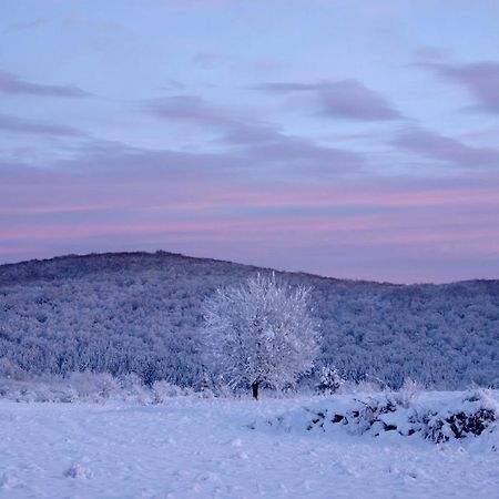 Peace Valley - Dolina Mira Janja Gora Buitenkant foto