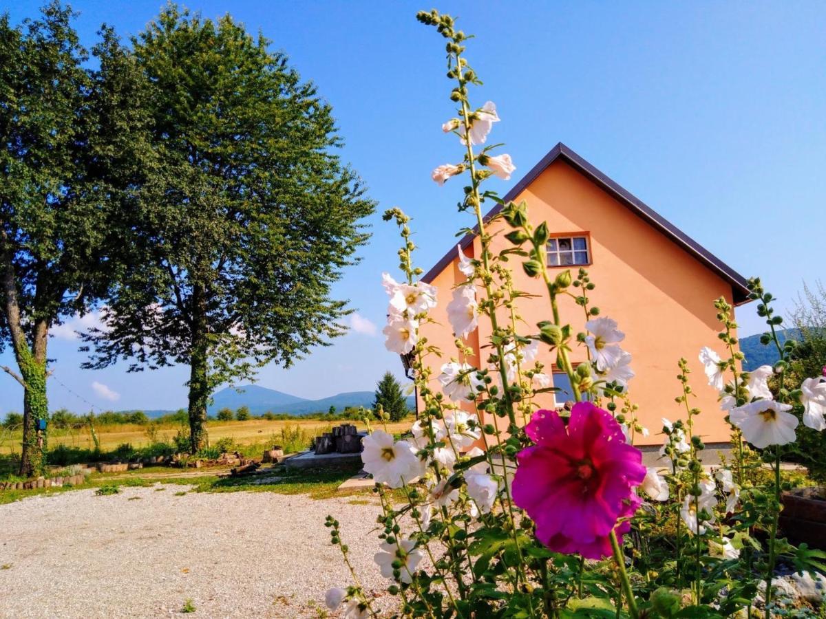 Peace Valley - Dolina Mira Janja Gora Buitenkant foto