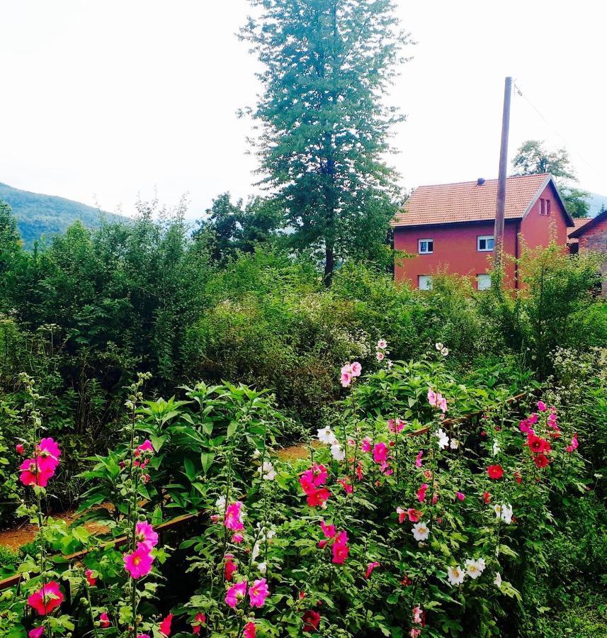 Peace Valley - Dolina Mira Janja Gora Buitenkant foto