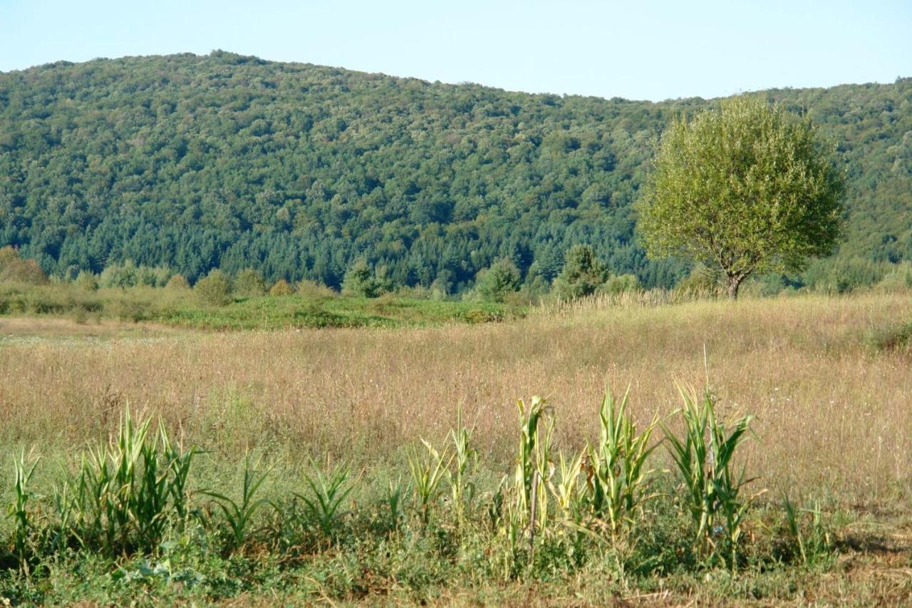 Peace Valley - Dolina Mira Janja Gora Buitenkant foto