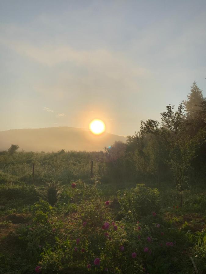 Peace Valley - Dolina Mira Janja Gora Buitenkant foto