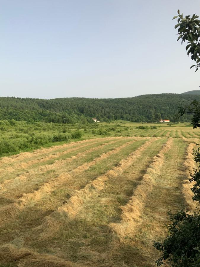 Peace Valley - Dolina Mira Janja Gora Buitenkant foto