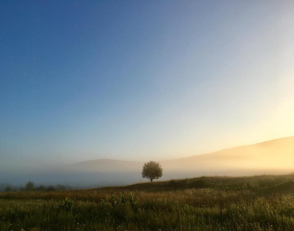 Peace Valley - Dolina Mira Janja Gora Buitenkant foto