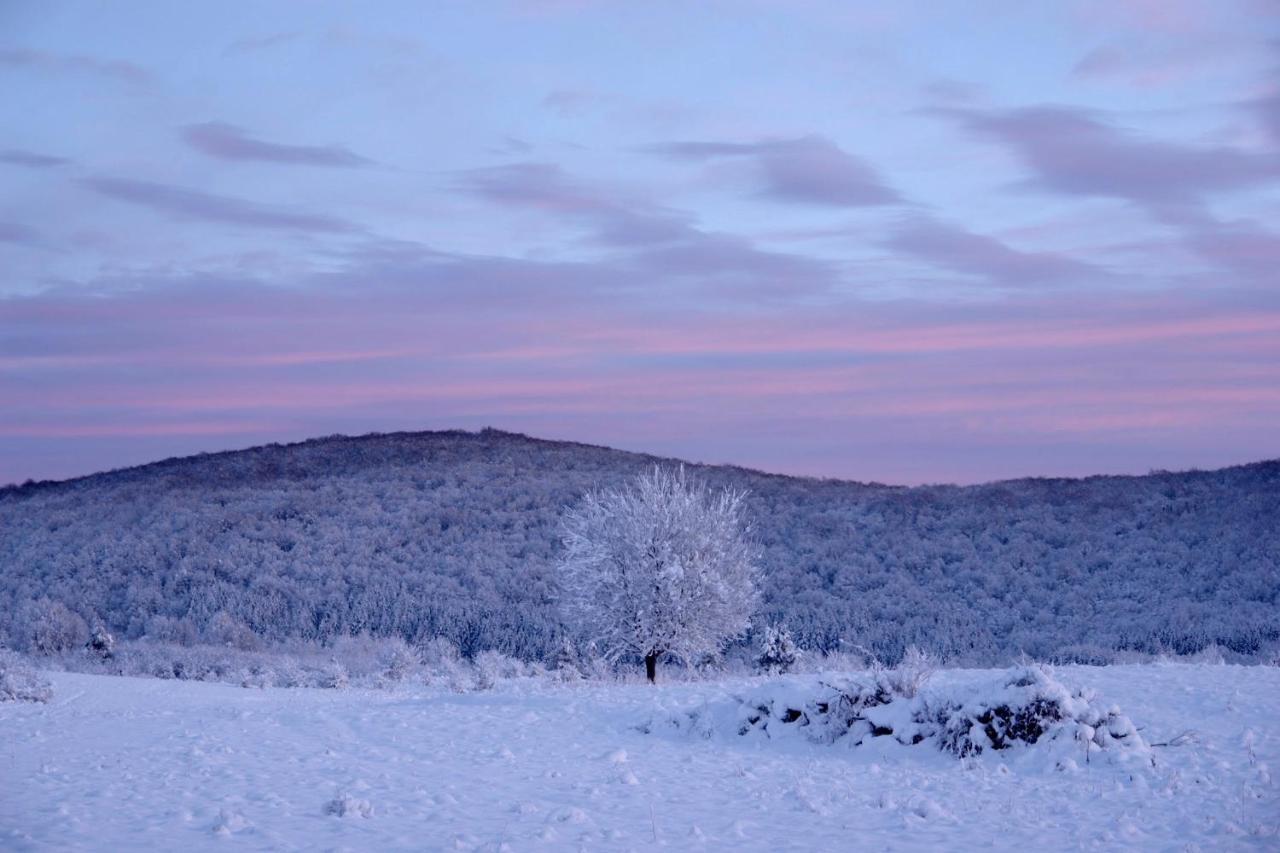 Peace Valley - Dolina Mira Janja Gora Buitenkant foto